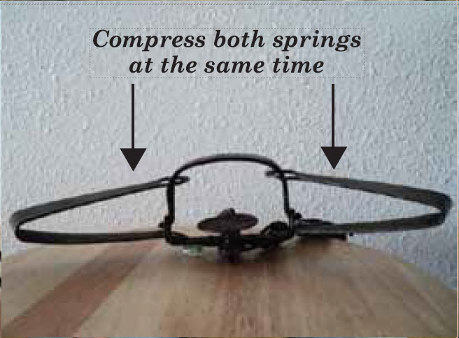 Foothold double long spring trap