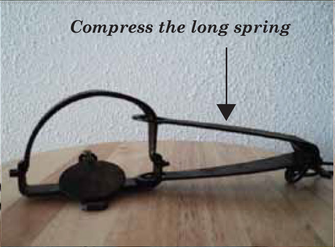 Foothold single long spring trap