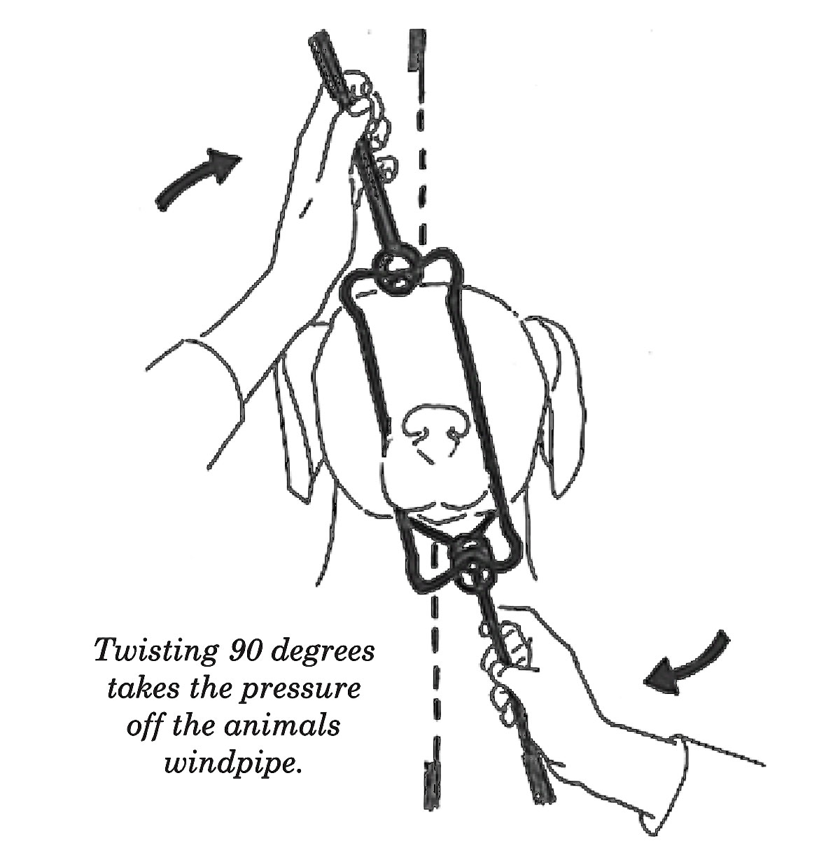 Twisting 90 degrees takes the pressure off the animal's windpipe