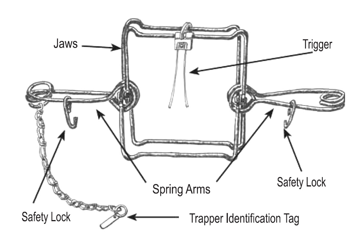 Drawing of a body grip trap with parts labeled