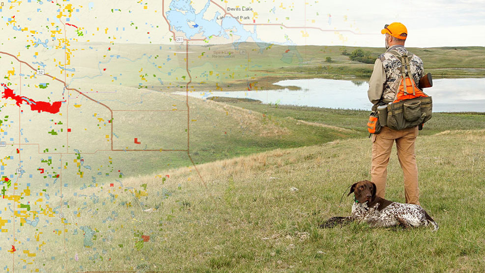 Hunter with hunting dog near a wetland in the grasslands.