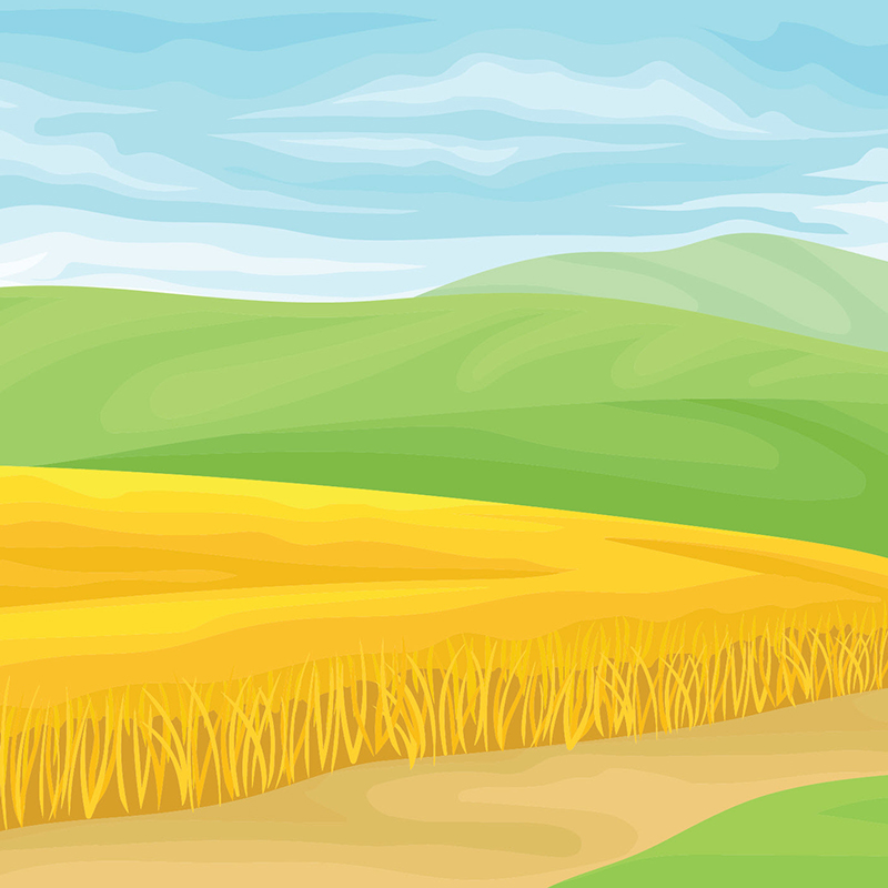 Drawing of a crop field