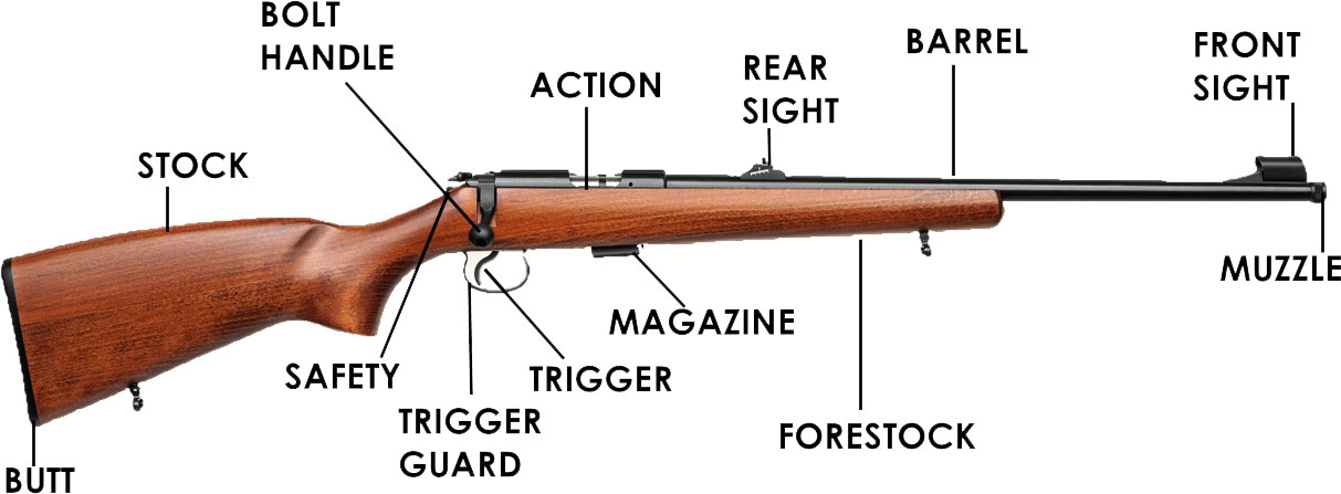 Photo of a rifle with its main parts labeled