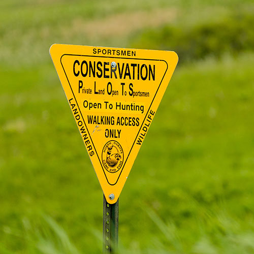 PLOTS sign in a green field