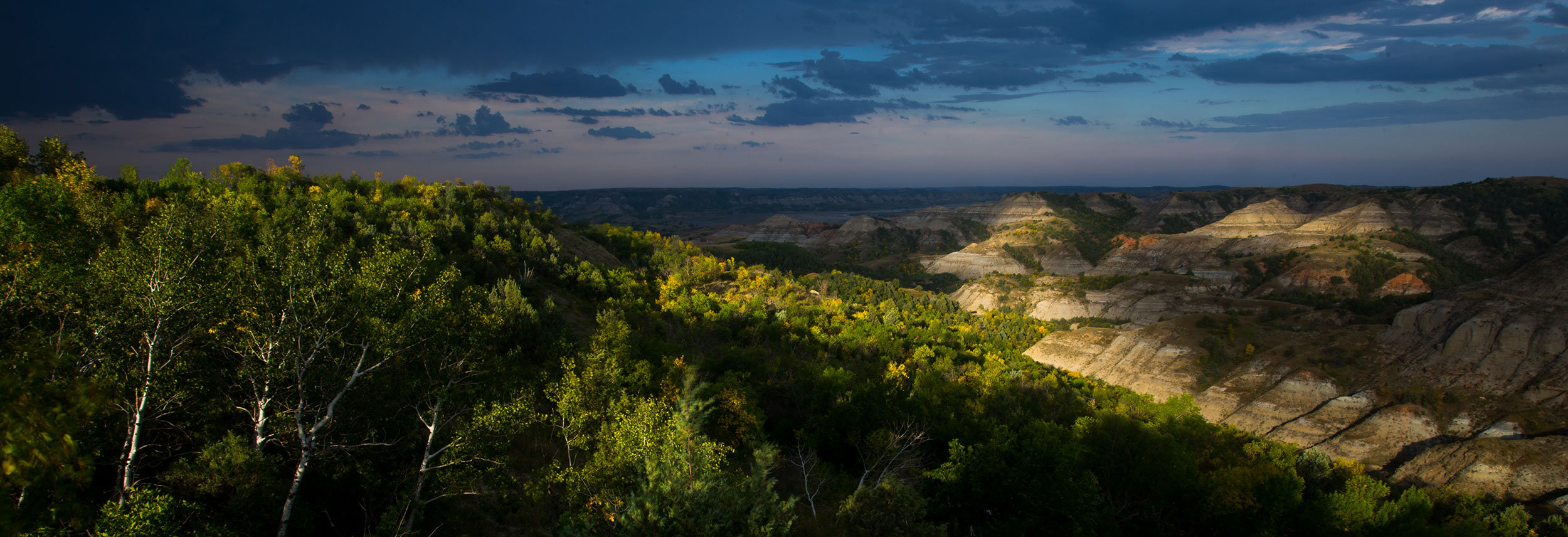Sunset in badlands with trees in front