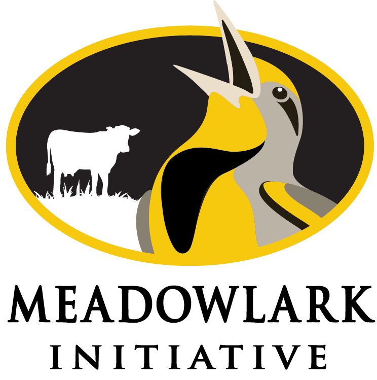 Meadowlark Initiative Logo