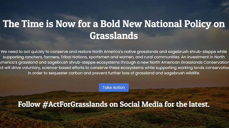 Screenshot of the Act for Grasslands org homepage