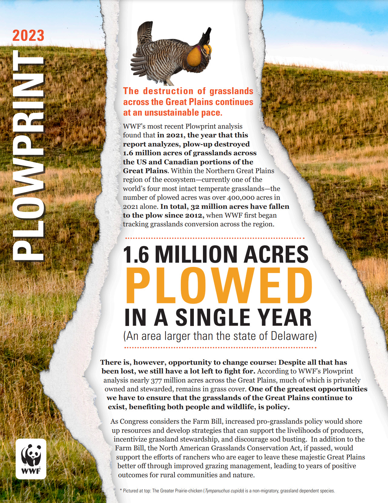 Screenshot of the first page of the Plow Print Report by the World Wildlife Fund