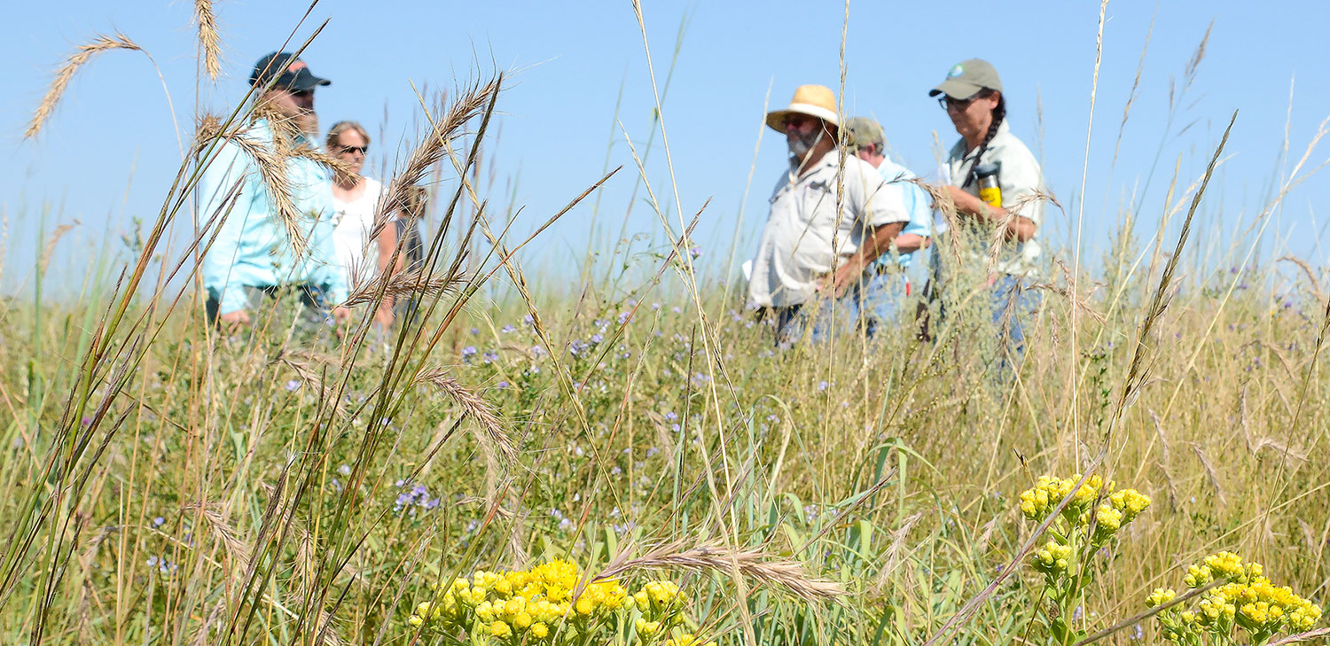 Field tour