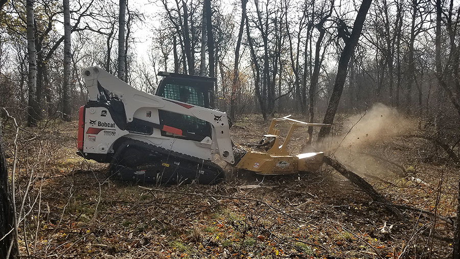 Worker clearcutting aspen