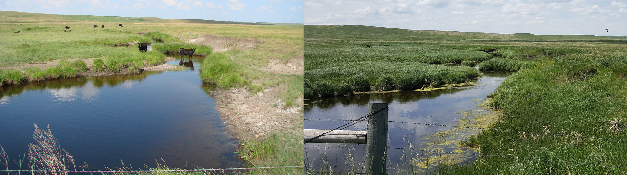 Before and after pictures of protected waterway
