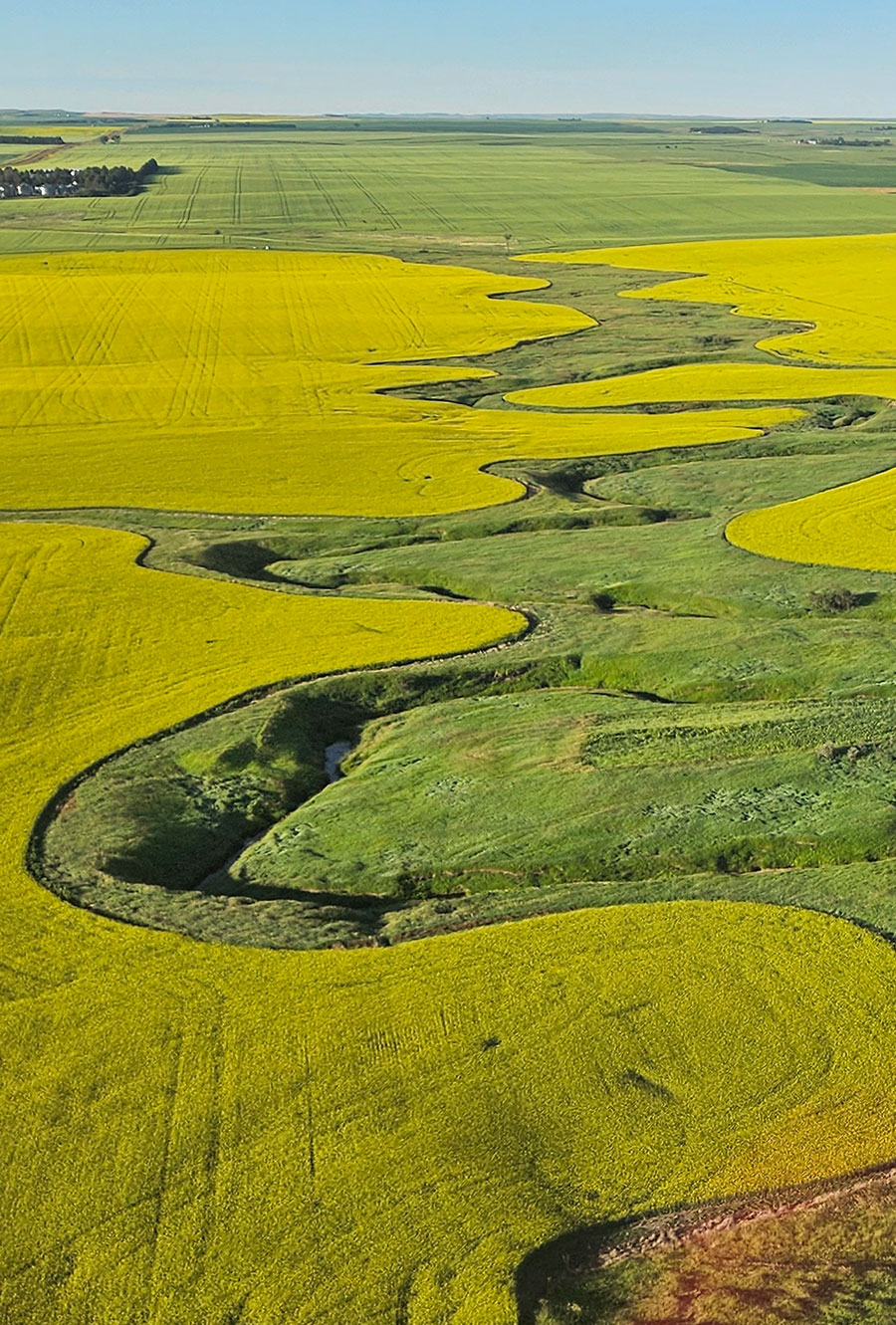 Farmland along stream habitat