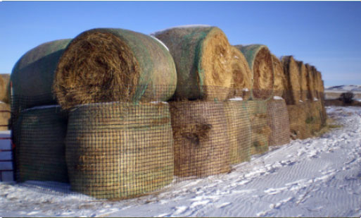 Hay stacked to make it difficult for deer to climb