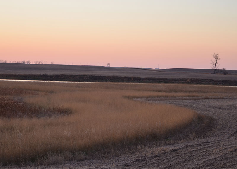 Buffer strips