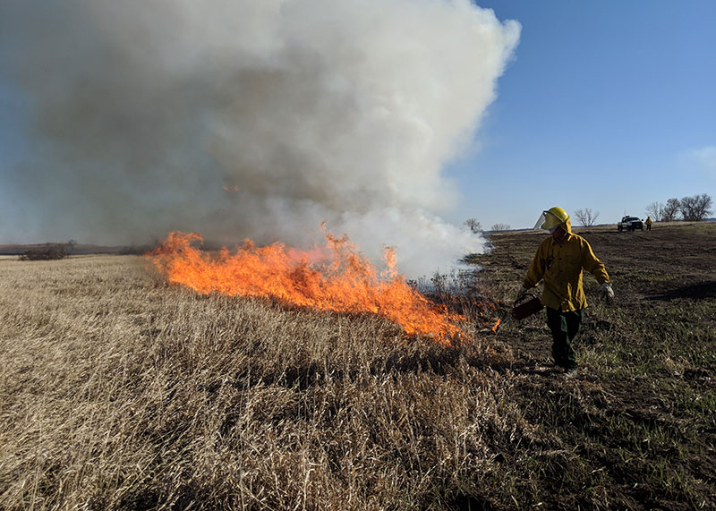 Worker managing a perscribed burn