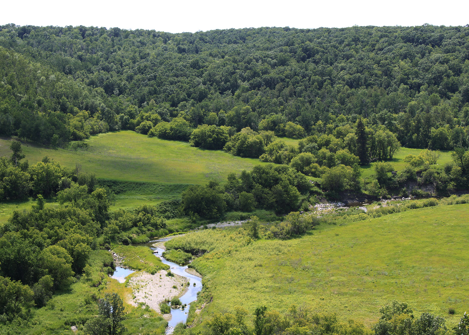 Forested land