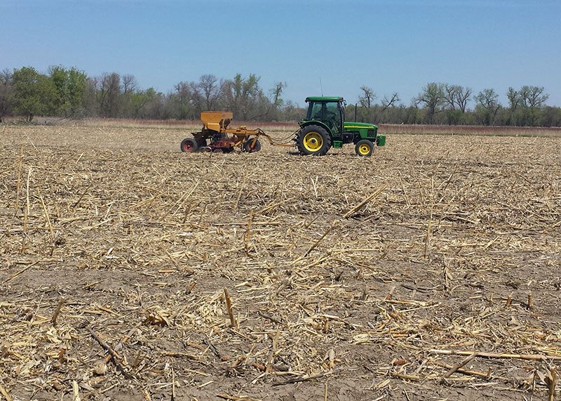 Tractor in field with minimum tilliage