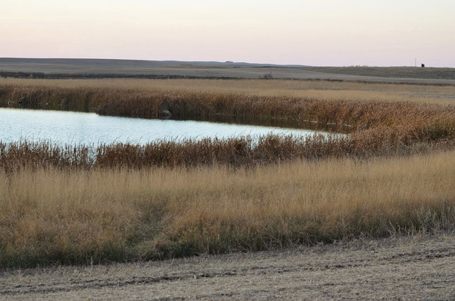 Cropland along waterway
