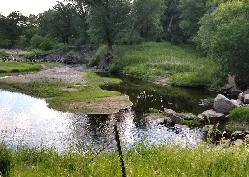 Riparian buffer