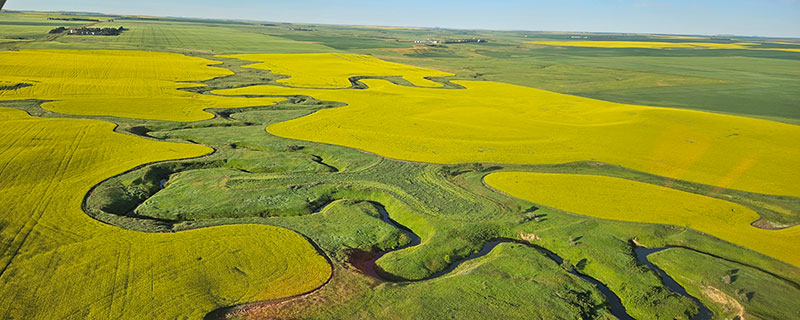 cropland along river habitat