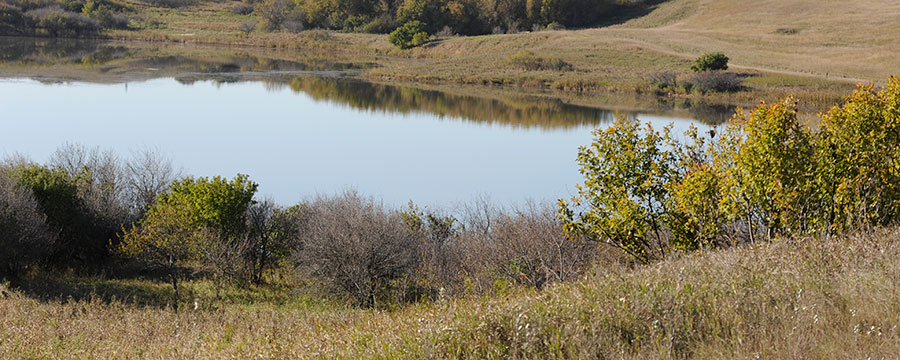 Prairie wetland