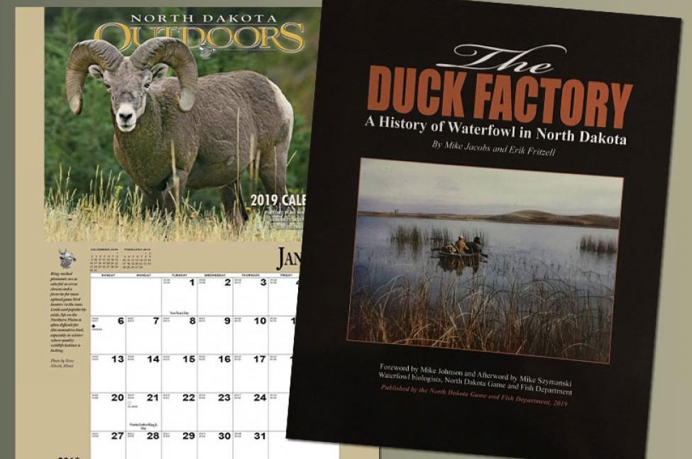 Book and calendar covers