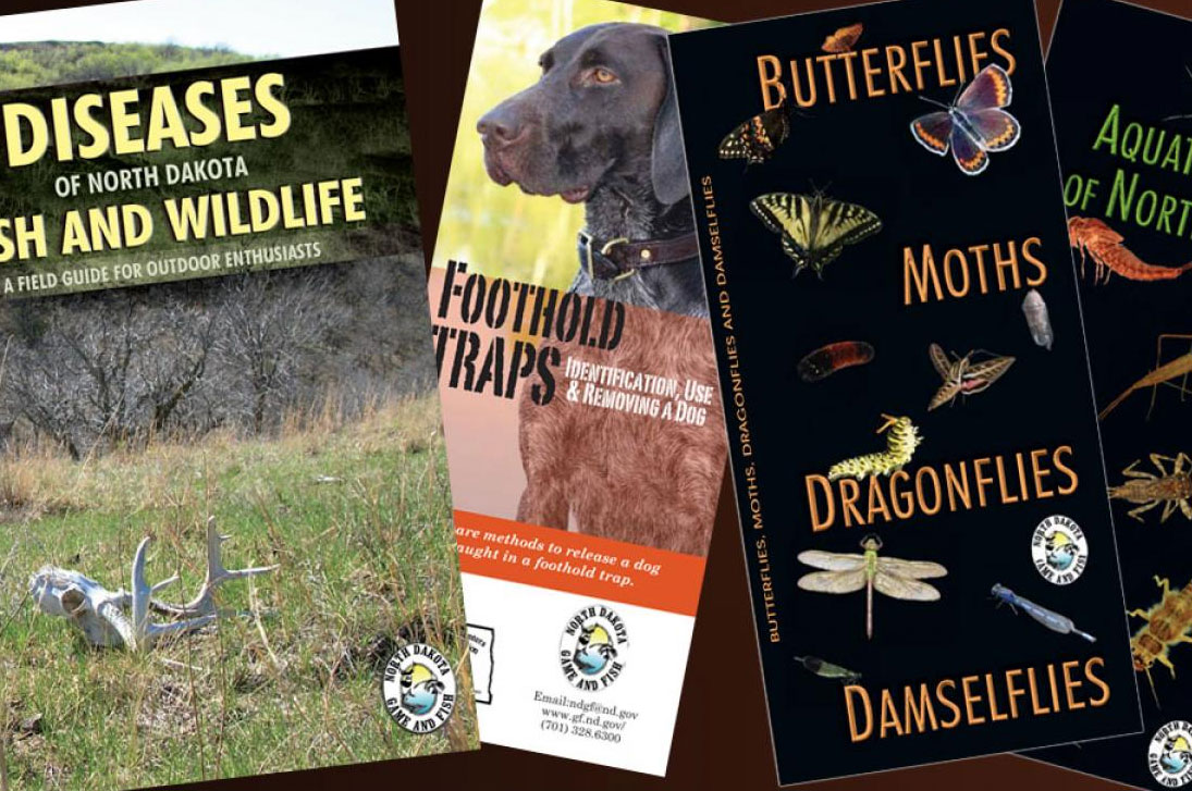Specialty publications cover examples