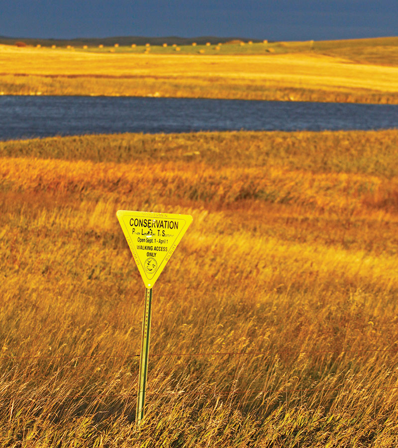 PLOTS sign near wetlands