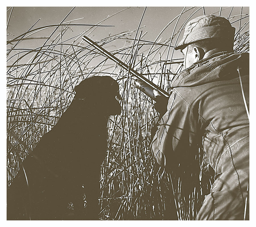 Waterfowl hunter