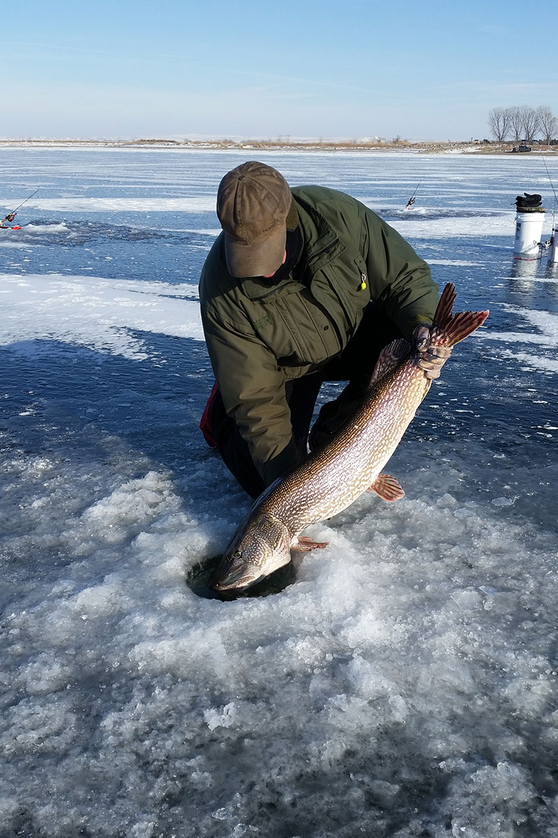 Small Investment, Ice Fishing Rewards | North Dakota Game and Fish