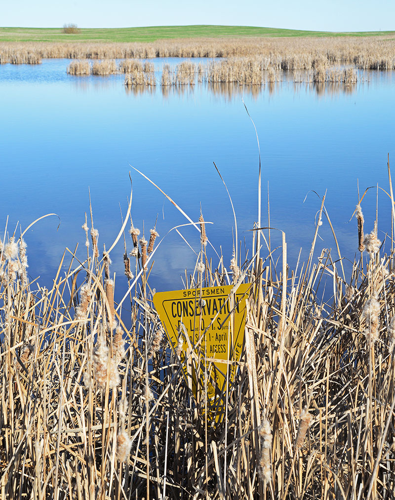 PLOTS sign