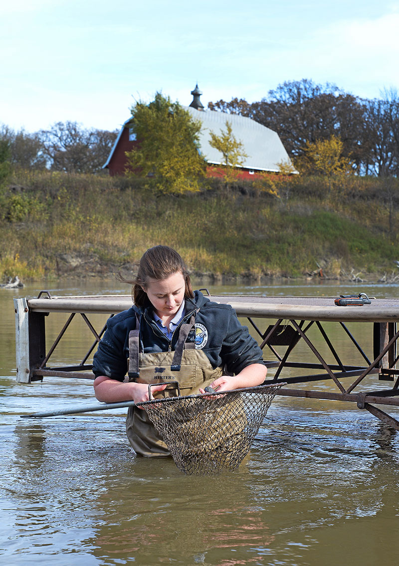 Checking for zebra mussels