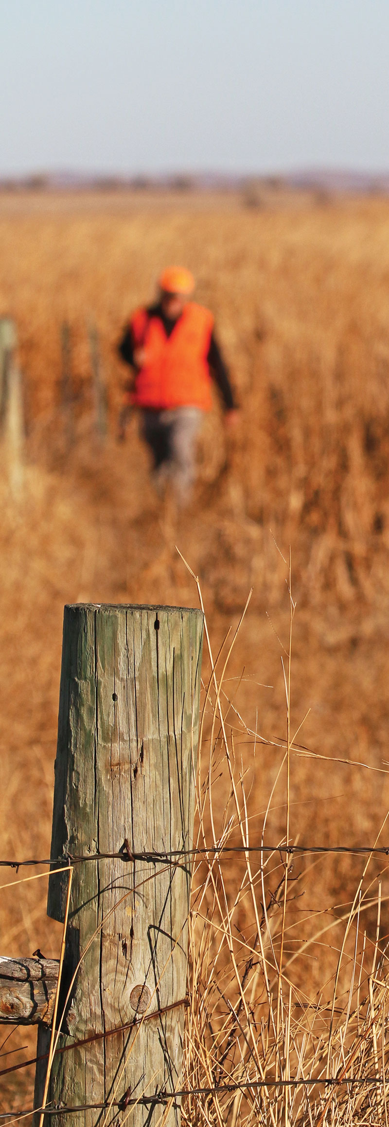 Hunter in Orange