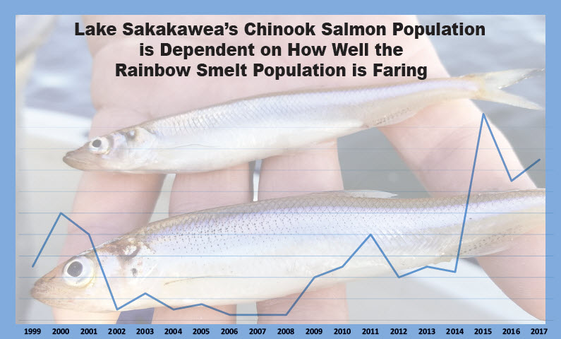 Smelt population chart