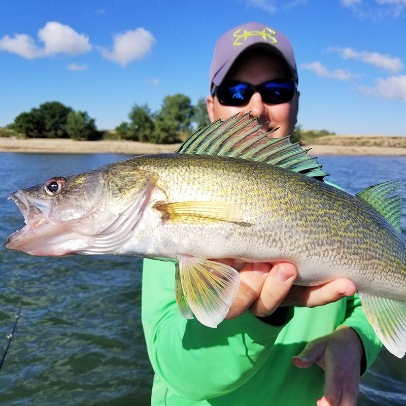 Angler with Walleye