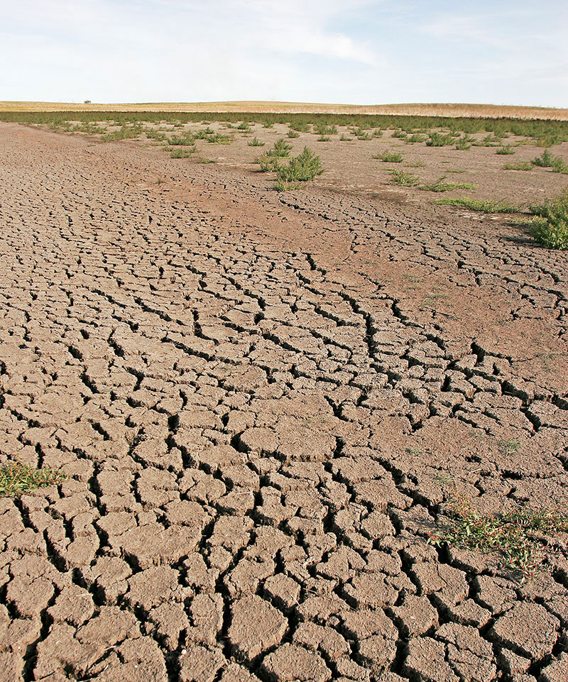 Dry, cracked soil