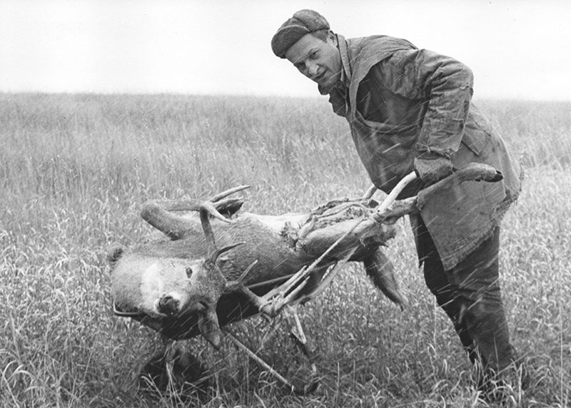 Hunter hauling deer in blowing snow