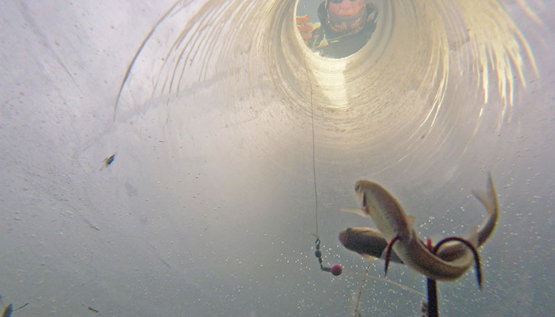 Looking up at a hole in the ice from underwater