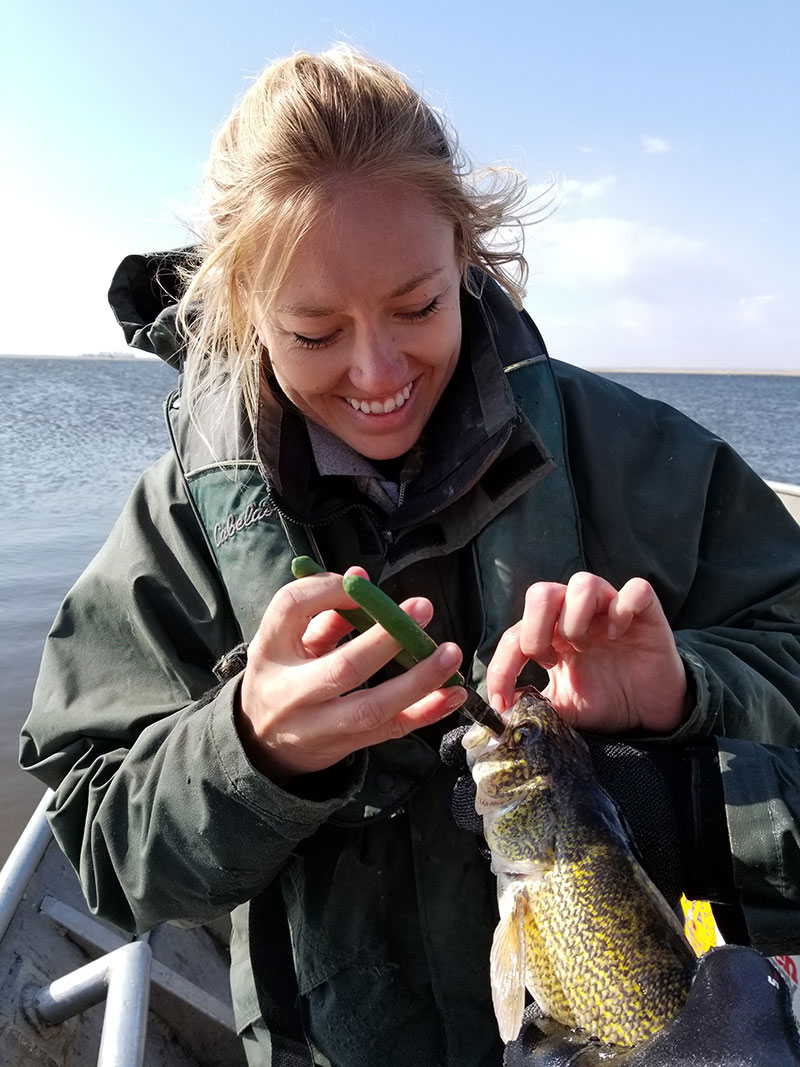 Seasonal worker tagging fish