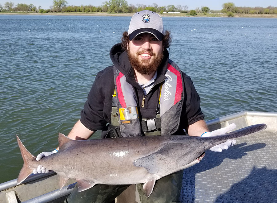 Seasonal holding paddlefish