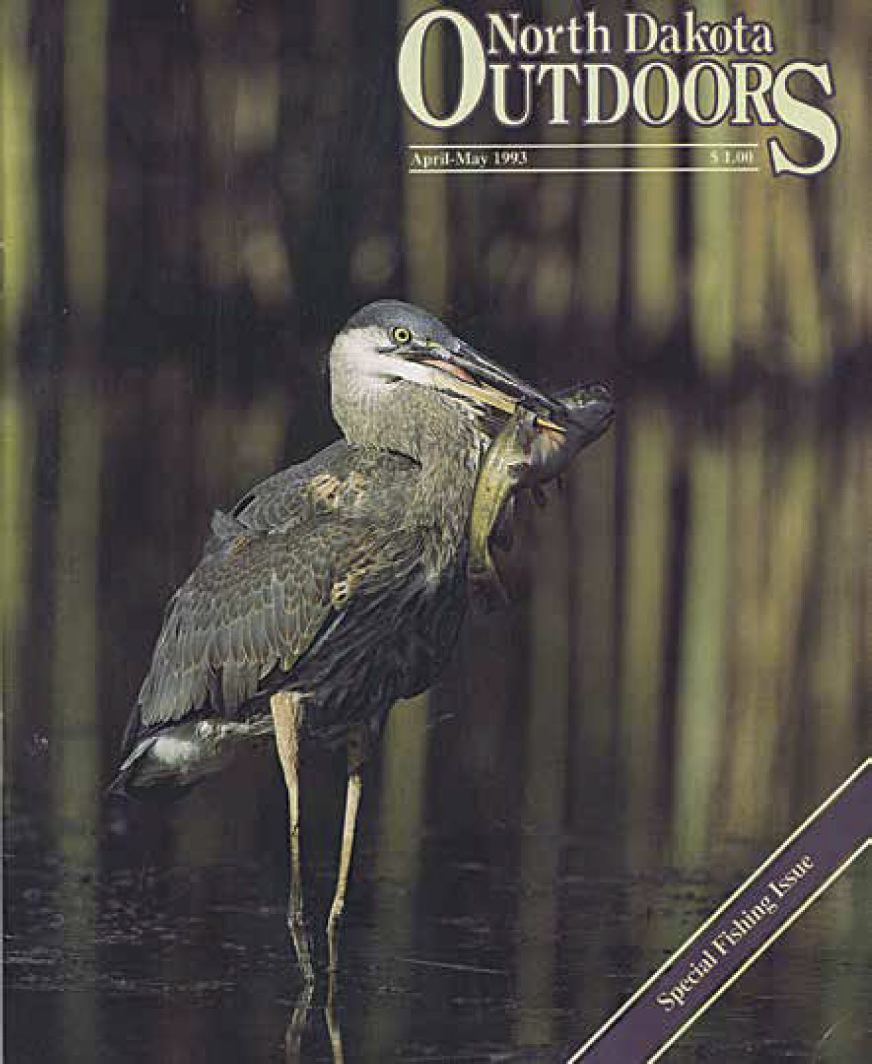 1993 Outdoors cover