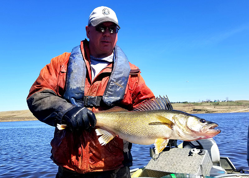 2018 walleye spawning - photo 2