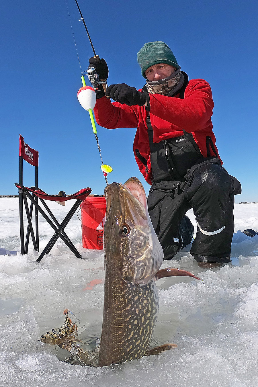 Angler pulling pike from ice hole