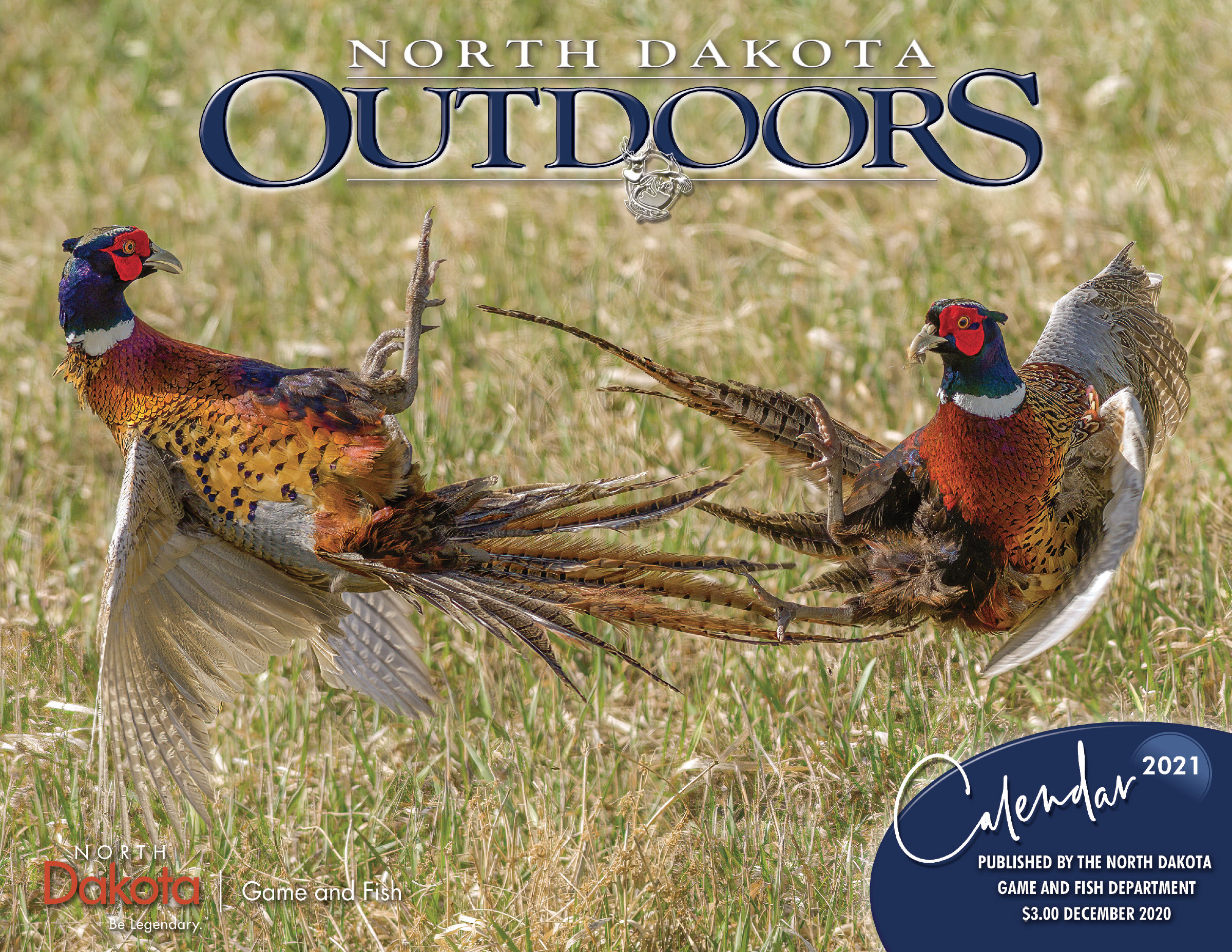 Cover of the calendar with two fighting ring-neck pheasant roosters