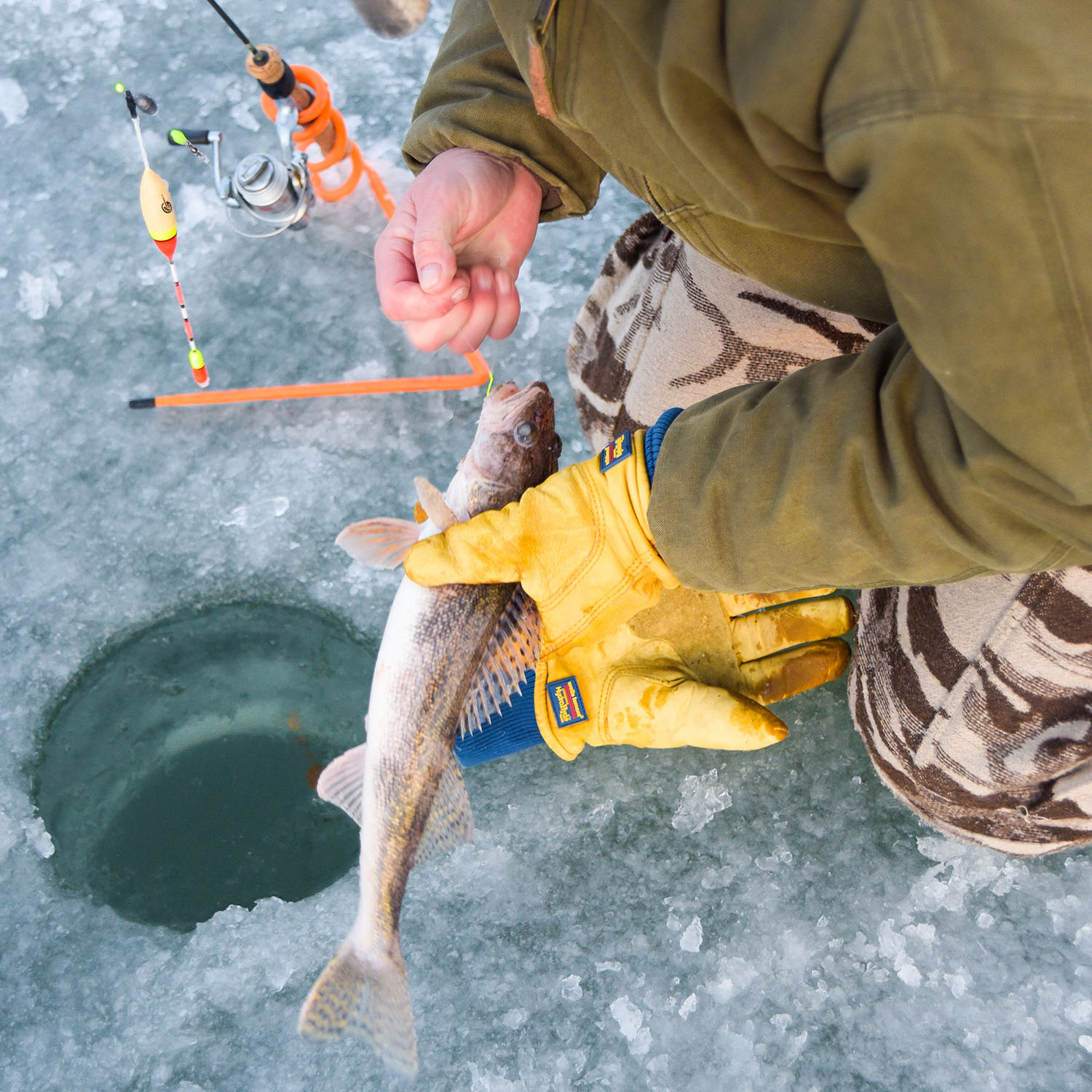 Walleye caught by ice angler