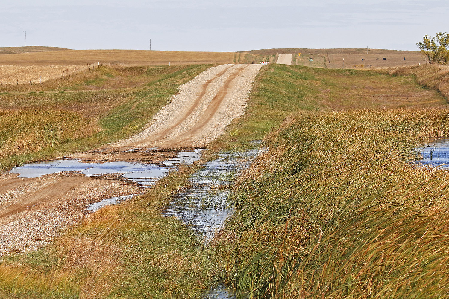 Flooded gravel road