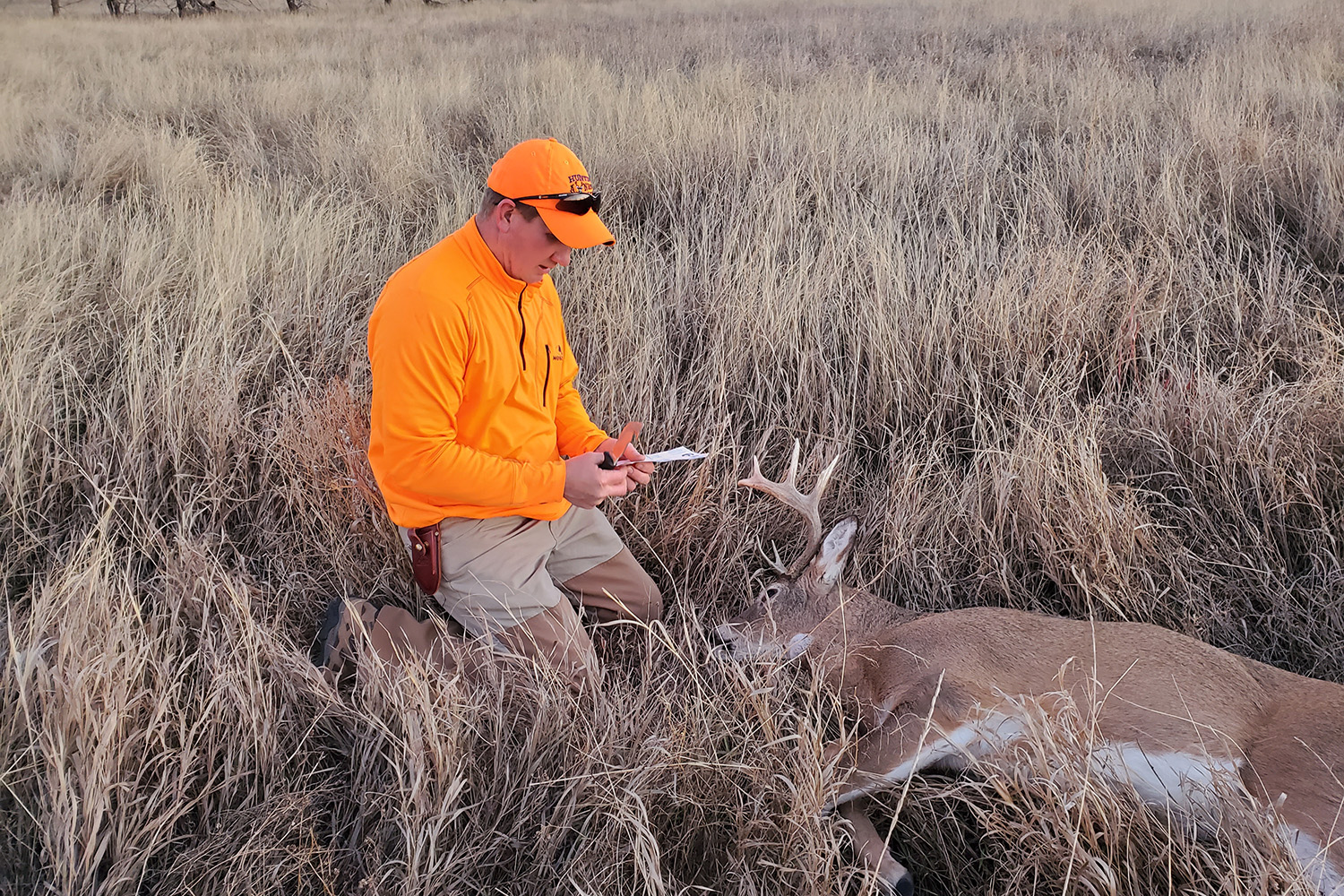 Hunter tagging deer
