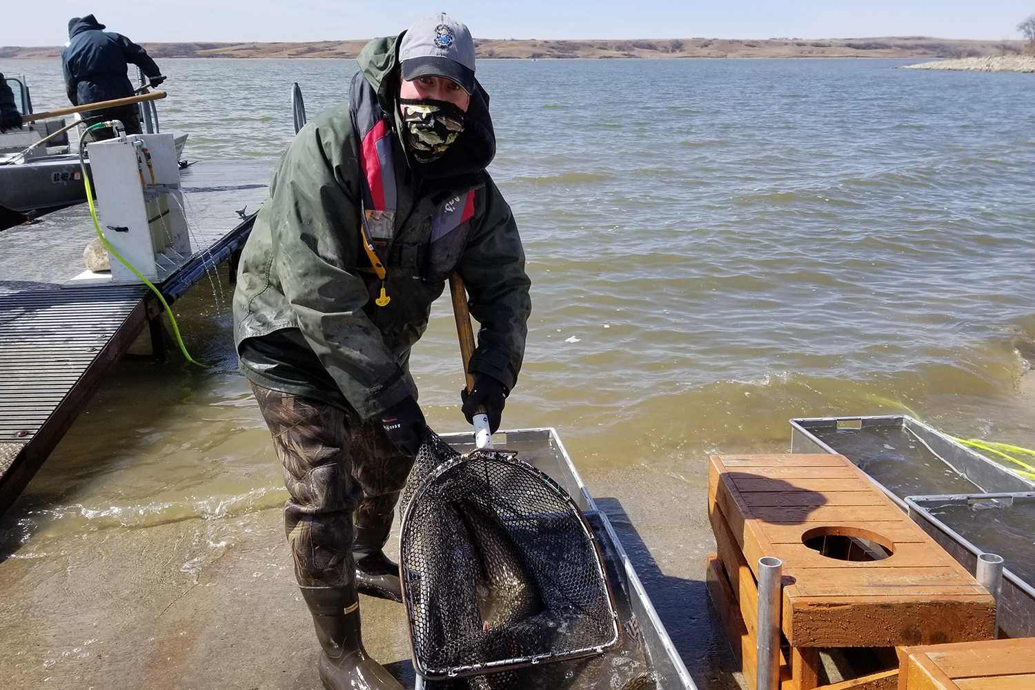 Fisheries staff wearing face mask while working
