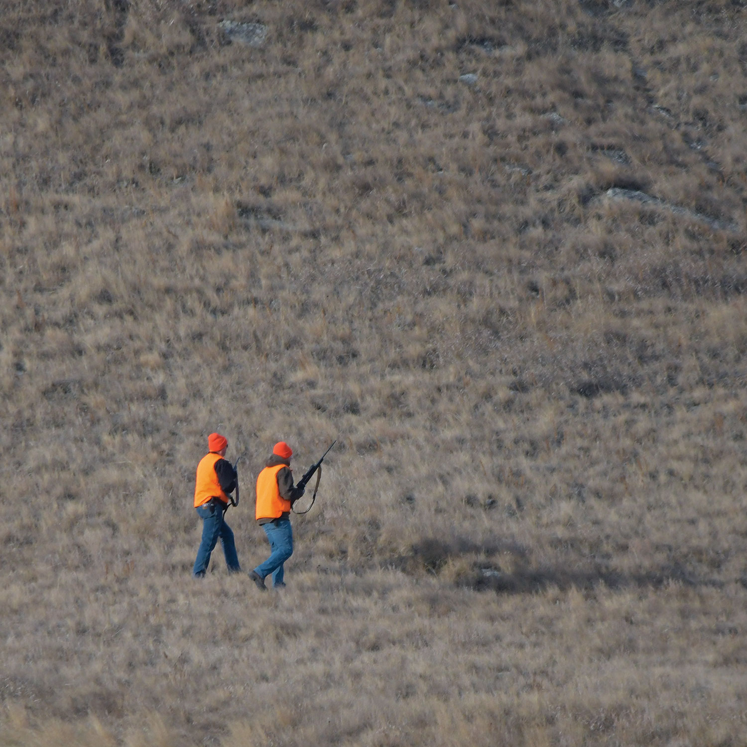 Two deer hunters walking on prairie