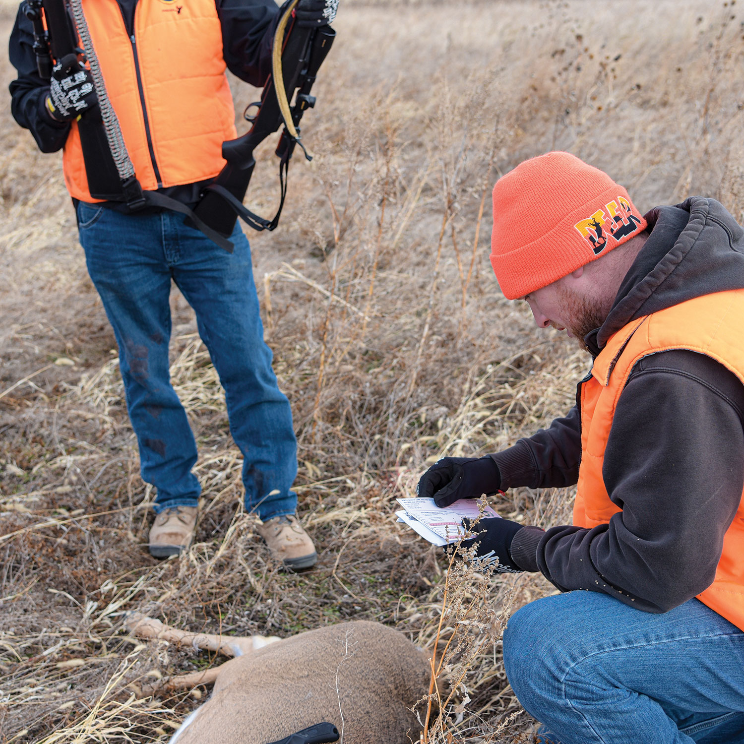 Hunters tagging a harvested deer
